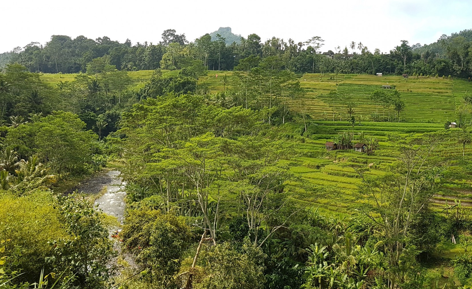 Rafting tour in Sidemen in Bali