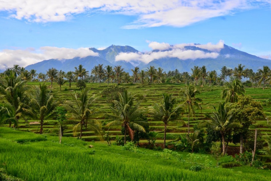 tetebatu in Lombok