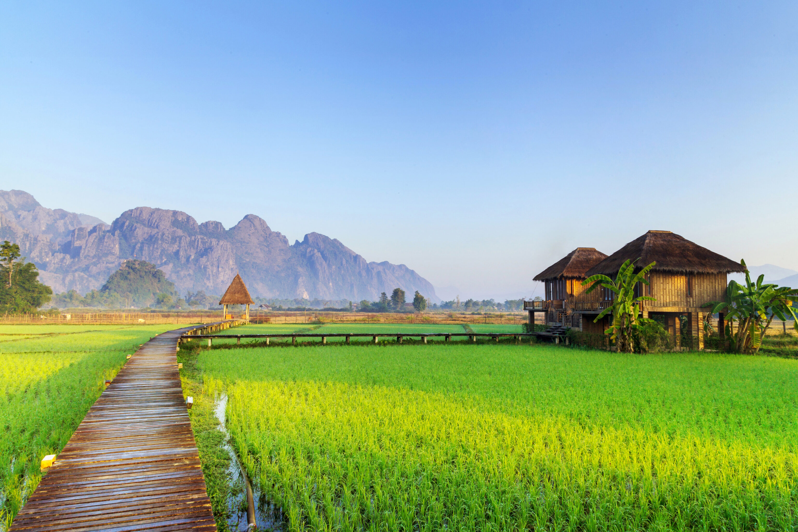 Green,Rice,Fields,And,Mountains,,Vang,Vieng,,Laos