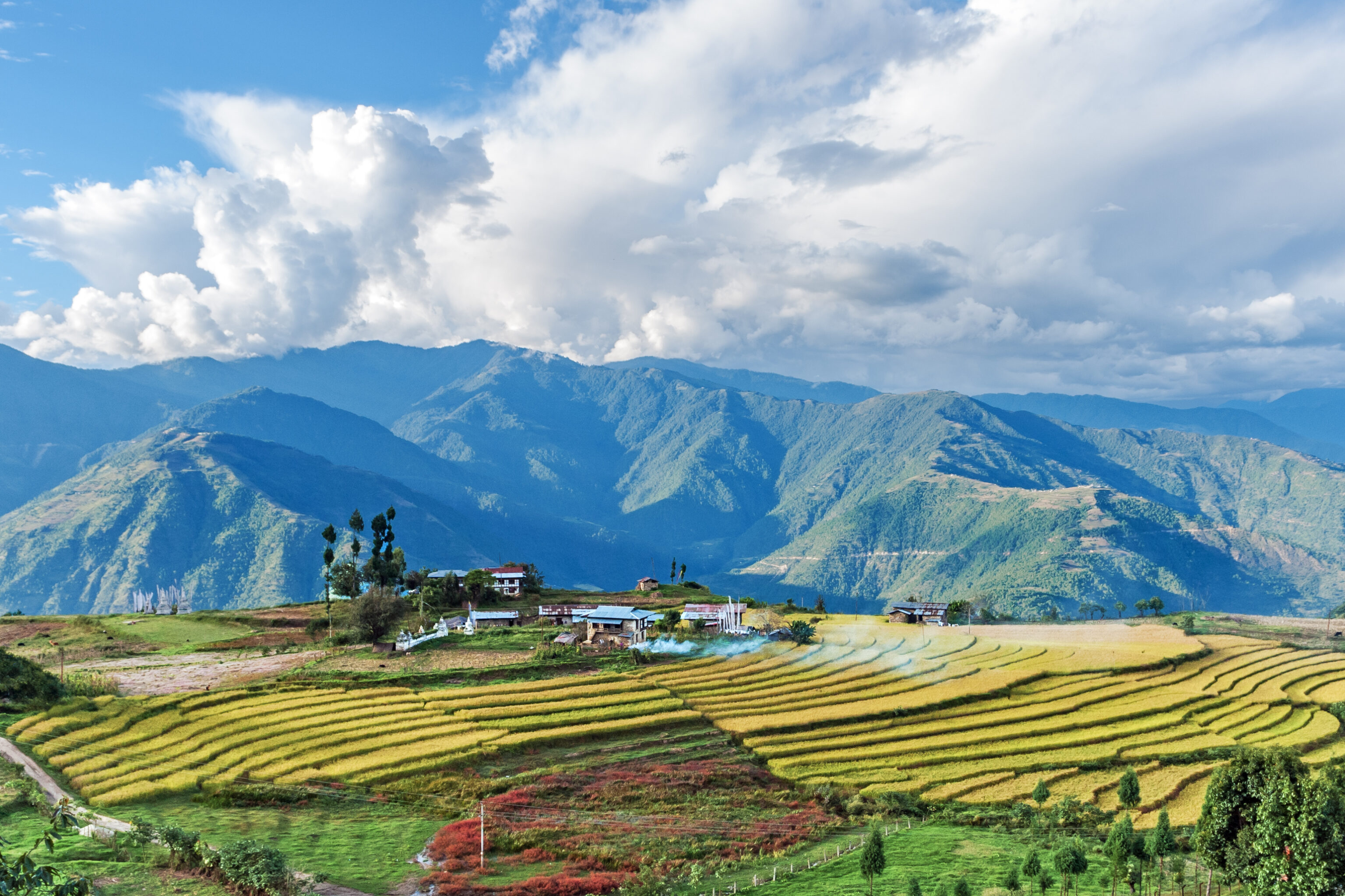 Farm,In,Bhutan,Eastern,Mountains,Near,Trashigang,-,Eastern,Bhutan