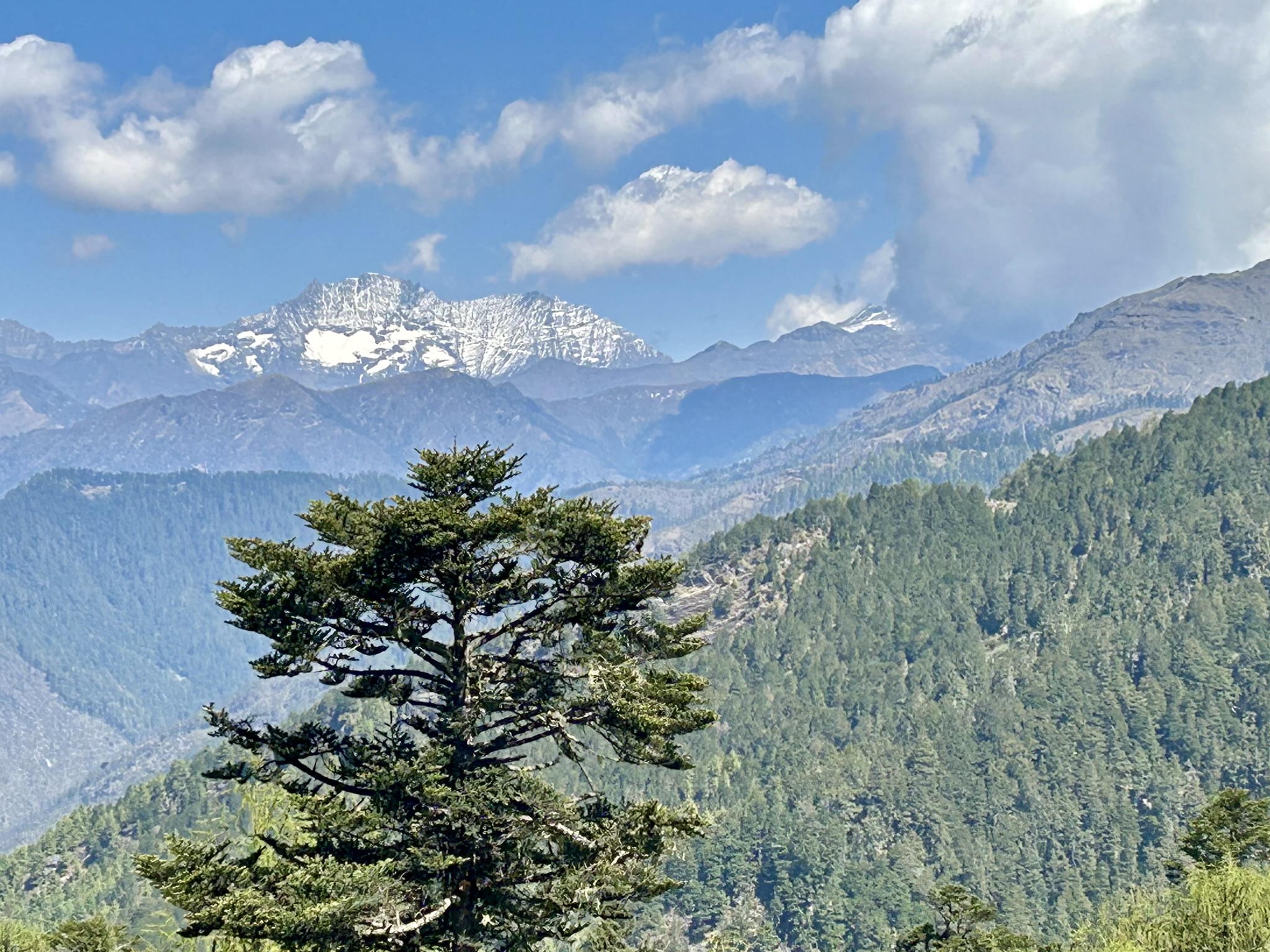Uitzicht vlakbij Chele La Pass in Bhutan