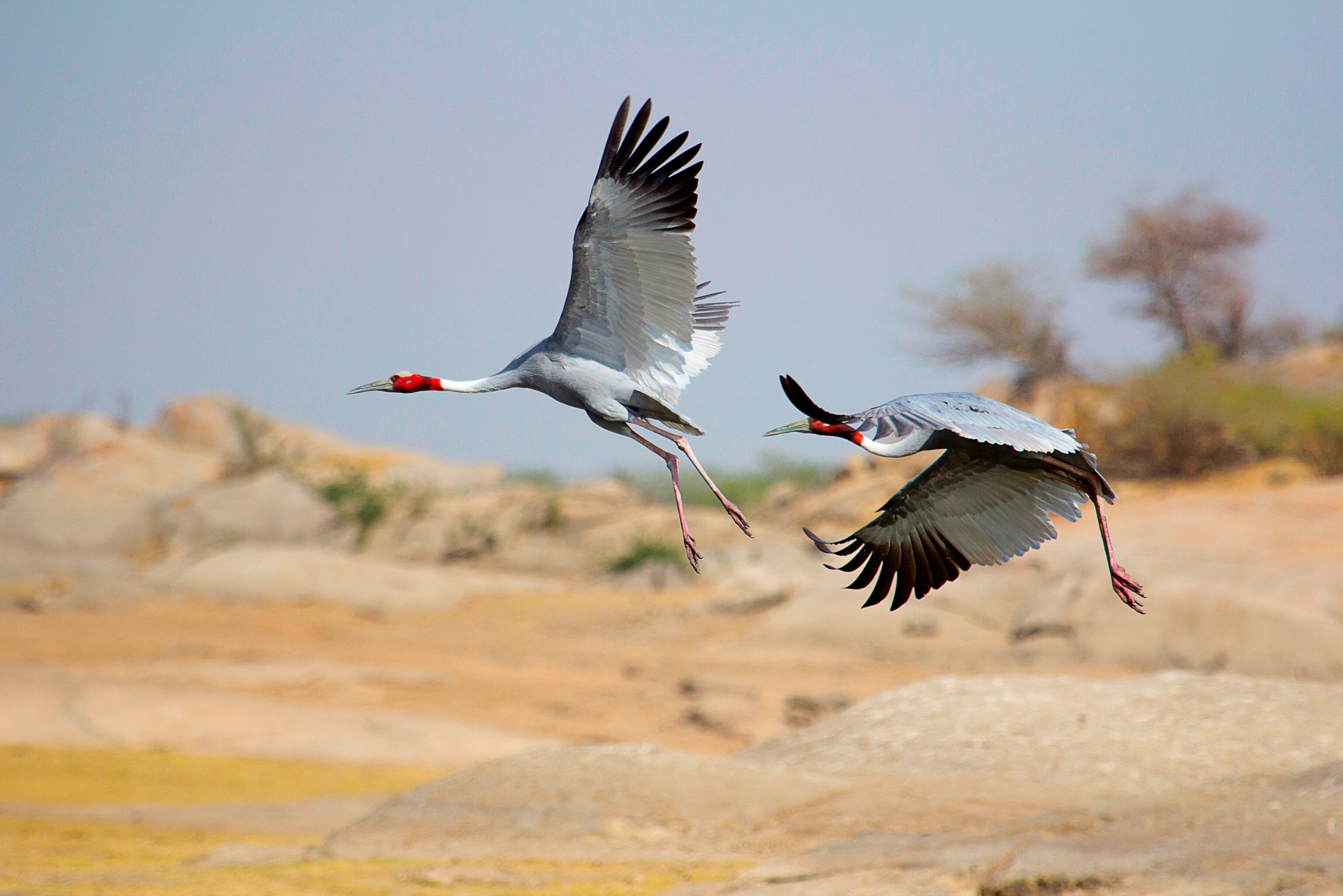 Bera, rajasthan