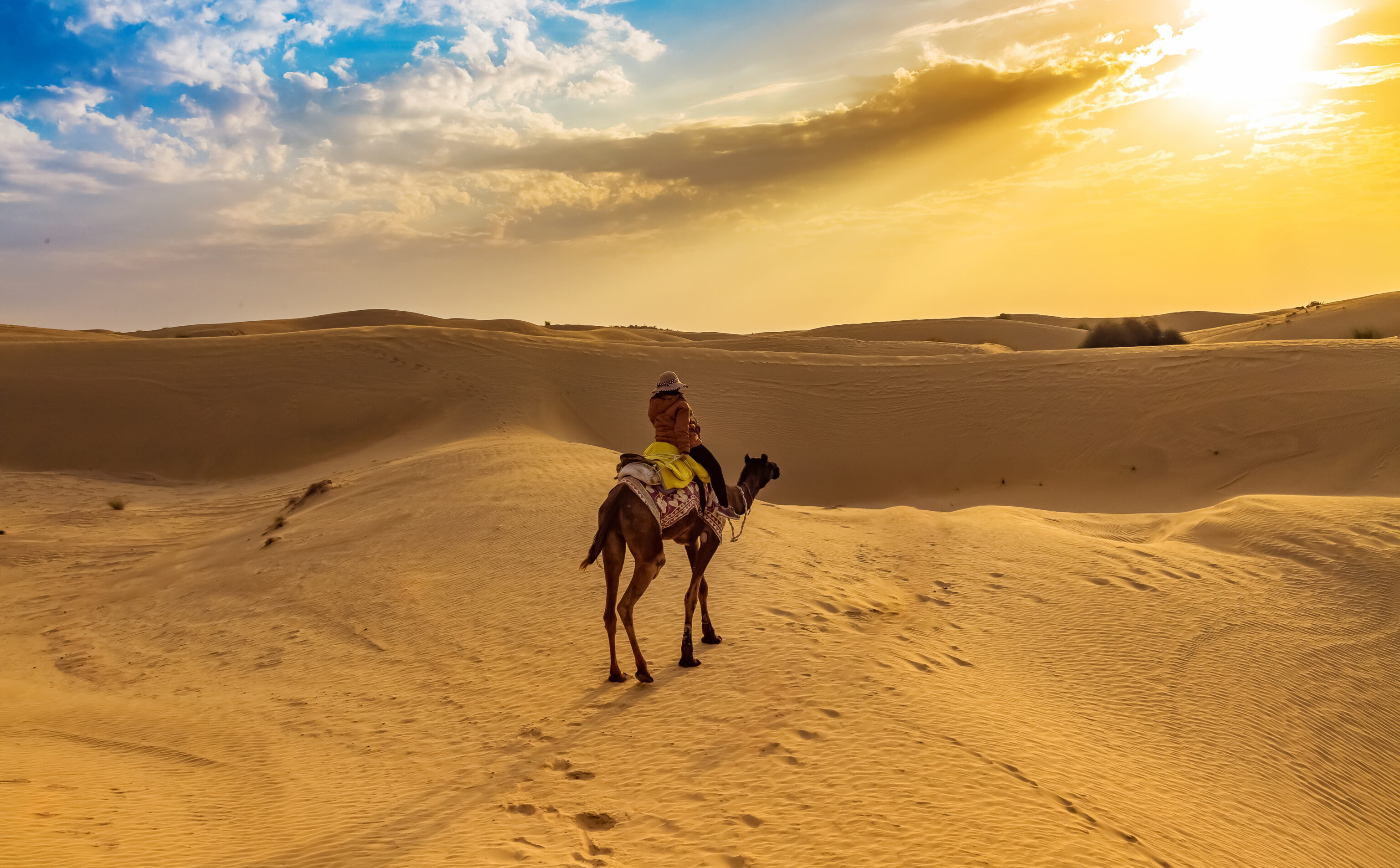 Woestijn Jaisalmer
