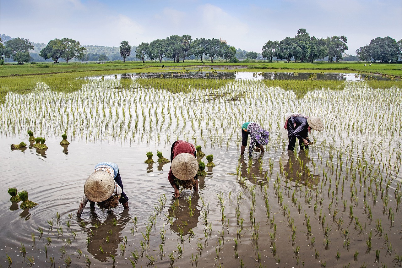 Vietnam