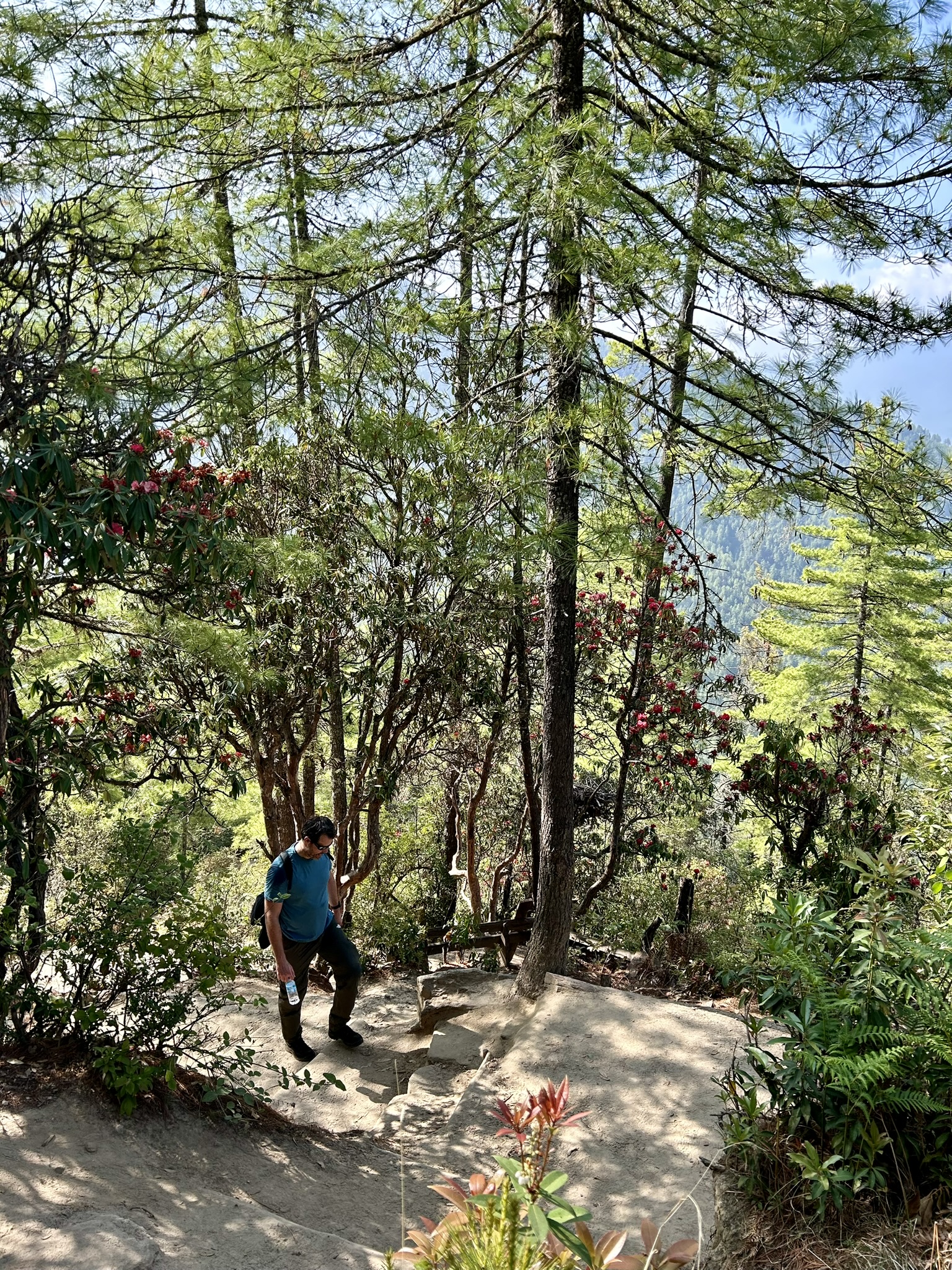 Tigers Nest Jos