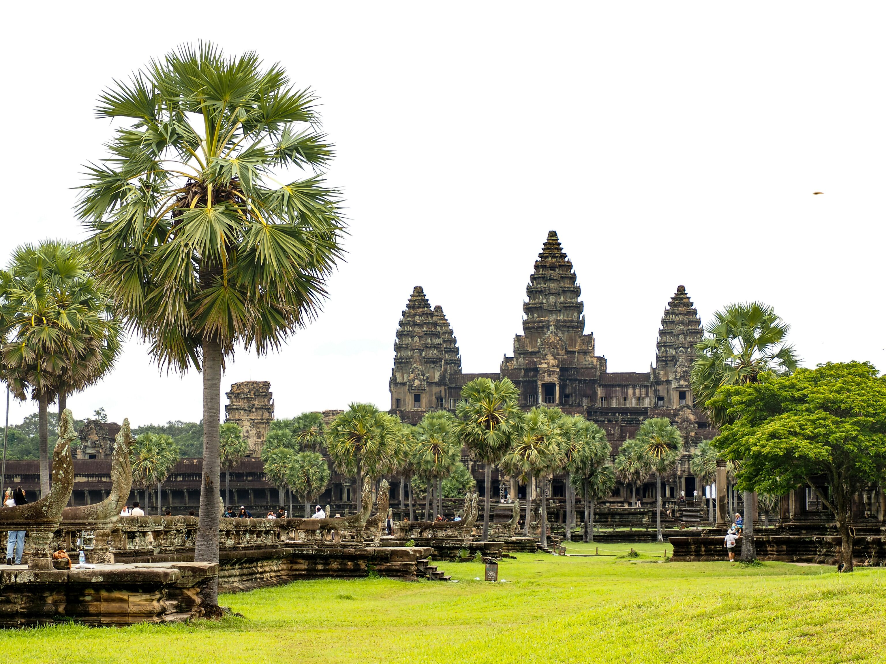 Grasveld en groene bomen met een tempel op de achtergrond