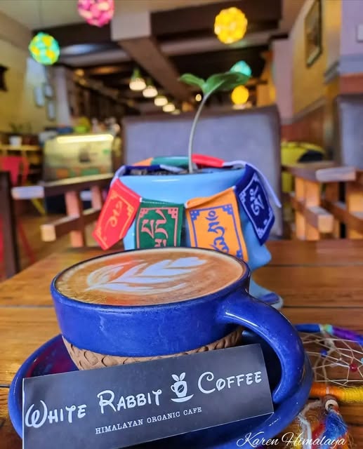 White Rabbit Coffee, Pokhara