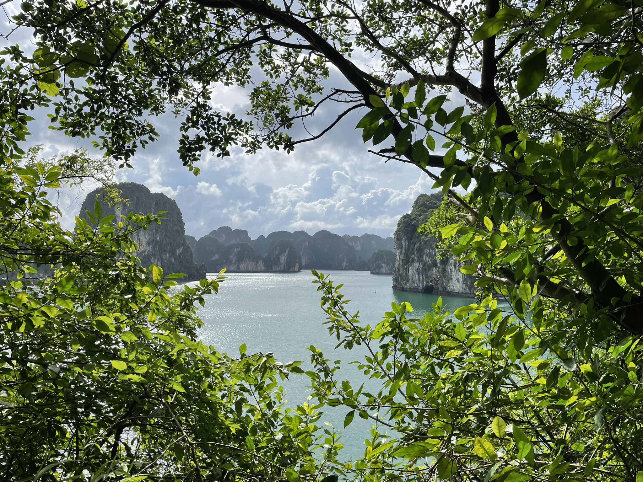 Bai Tu Long Bay