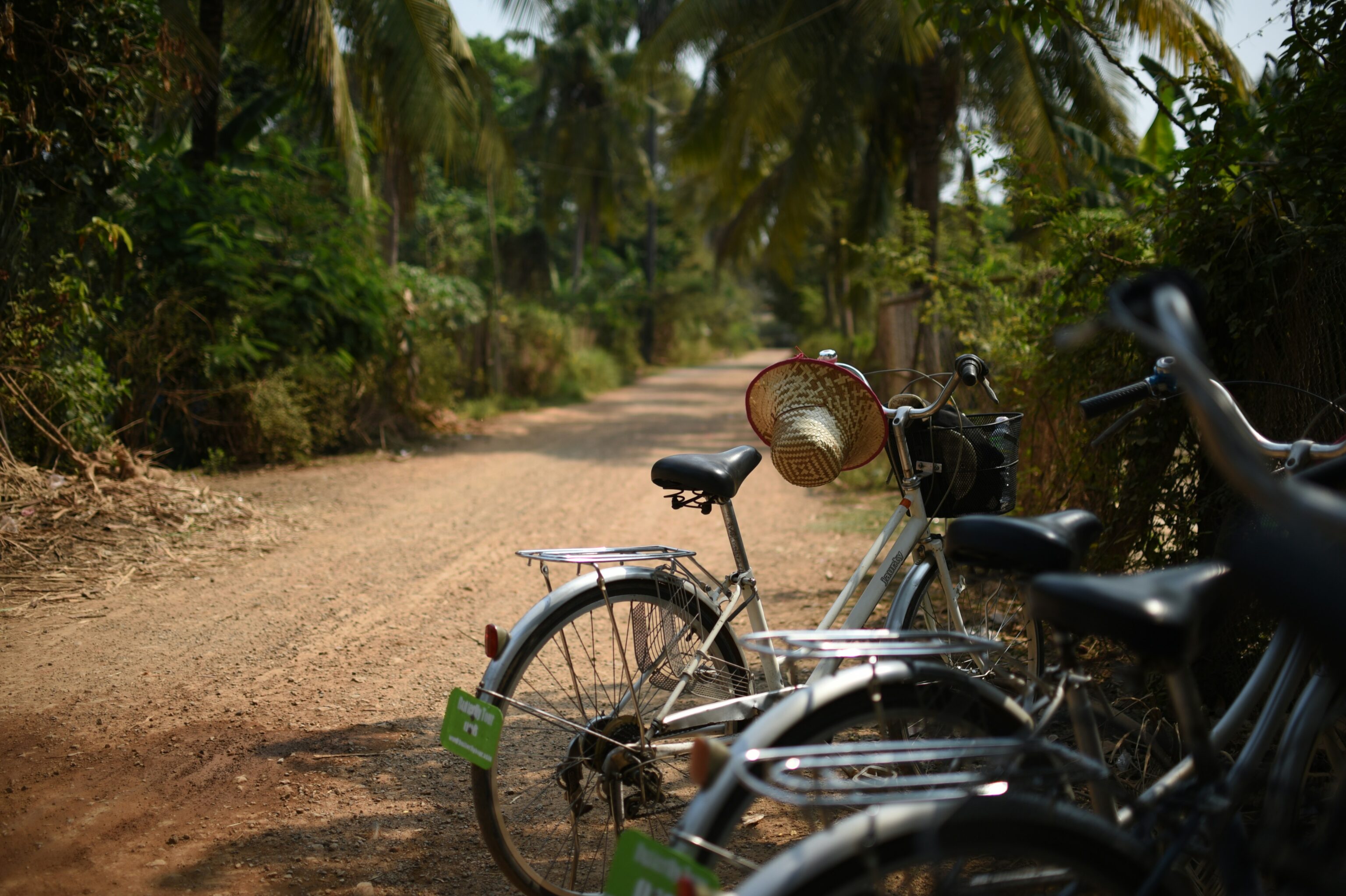 Fietstocht - unsplash Anna Seeley