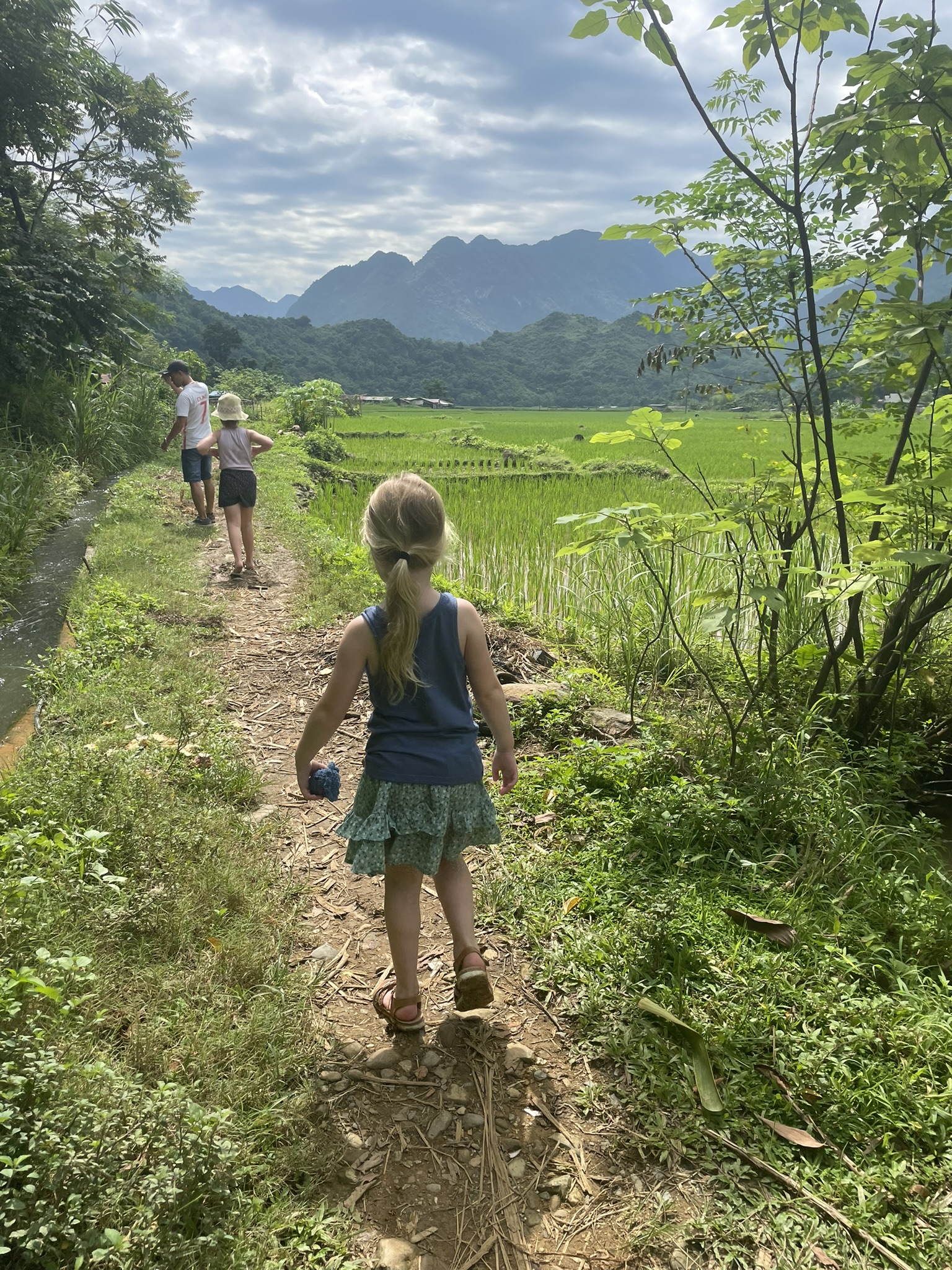 Wandelen door het platteland