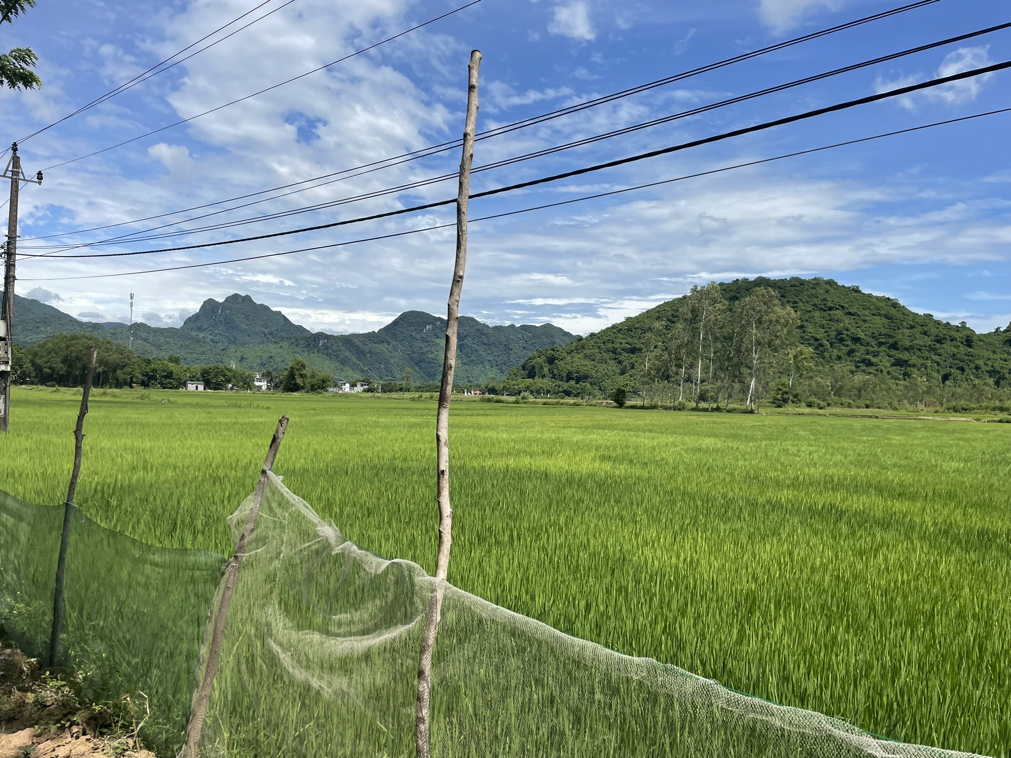 Phong Nha