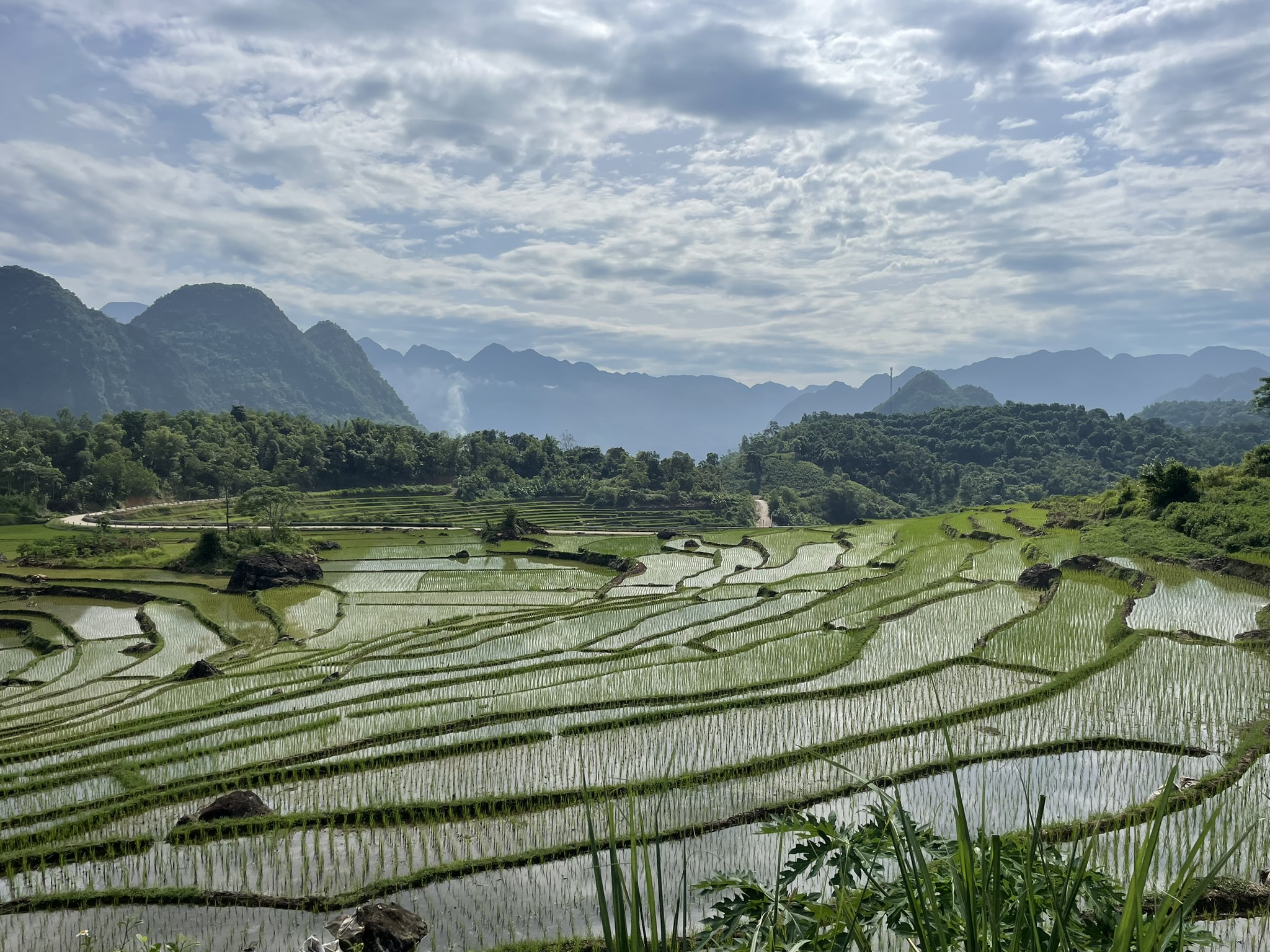 Rijstterrassen bij Pu Luong