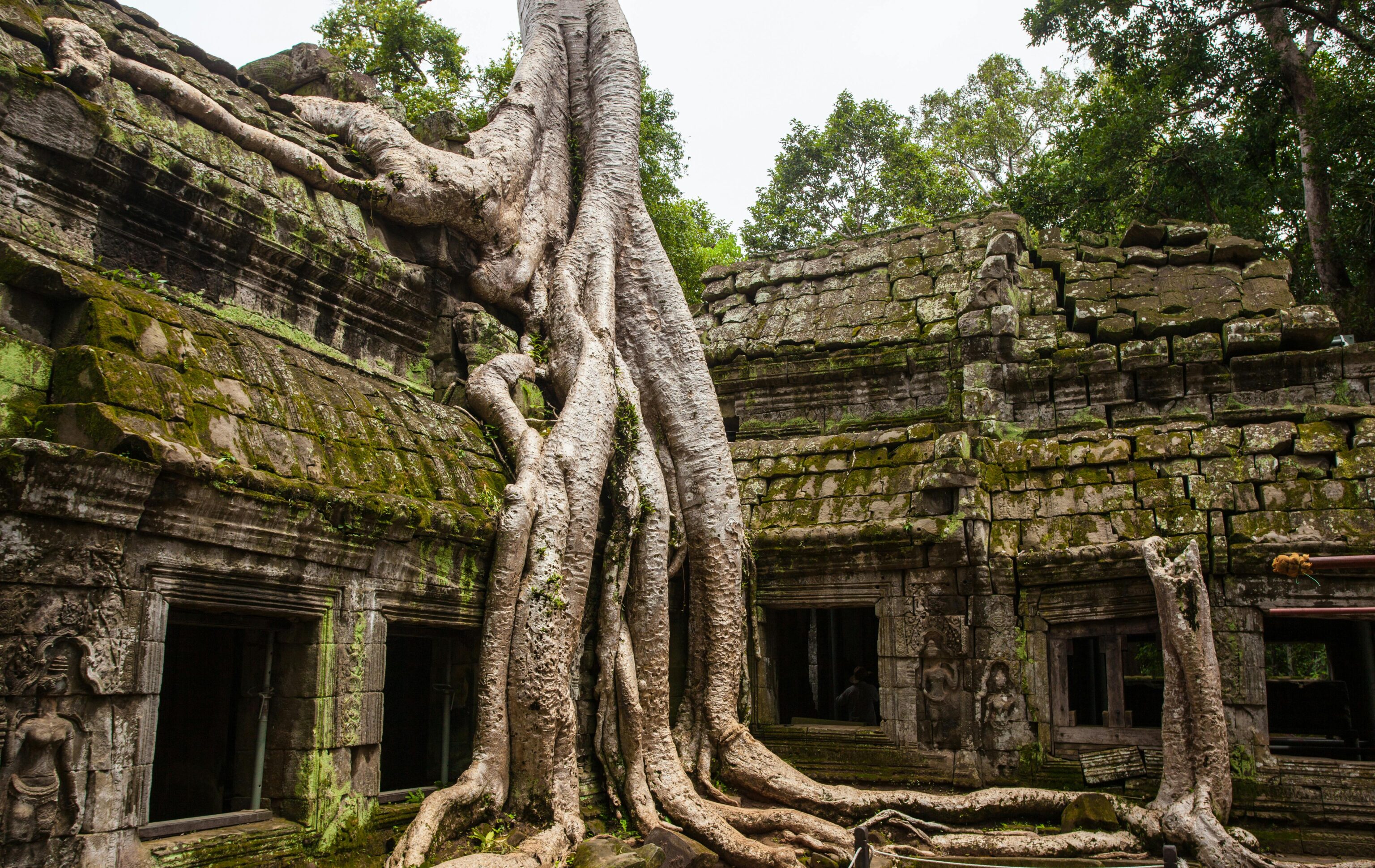 Ta Prohm 2